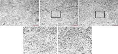 Multiscale Characterization of Erosion of TA2 Titanium Alloy Welded Joints